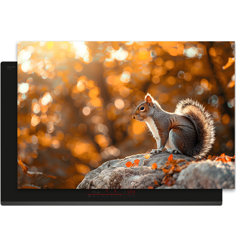 Inductiebeschermer - Herfst - Herfstglans