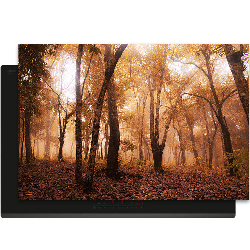 Inductiebeschermer - Herfst - Gouden Woud