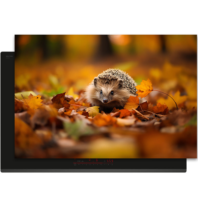 Inductiebeschermer - Herfst - Herfstspoor