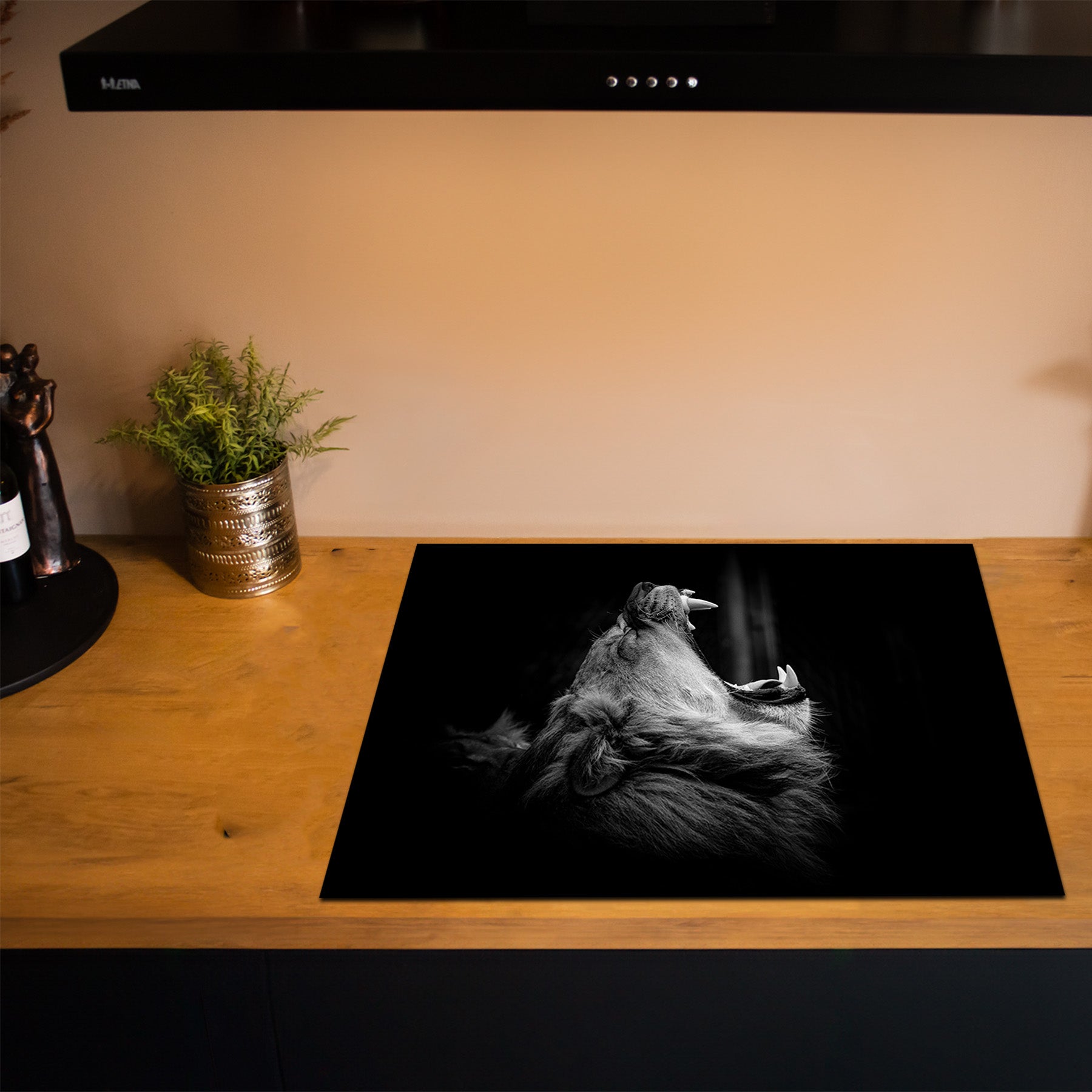 Inductiebeschermer - Dieren Zwart Wit - Leeuwen Brul