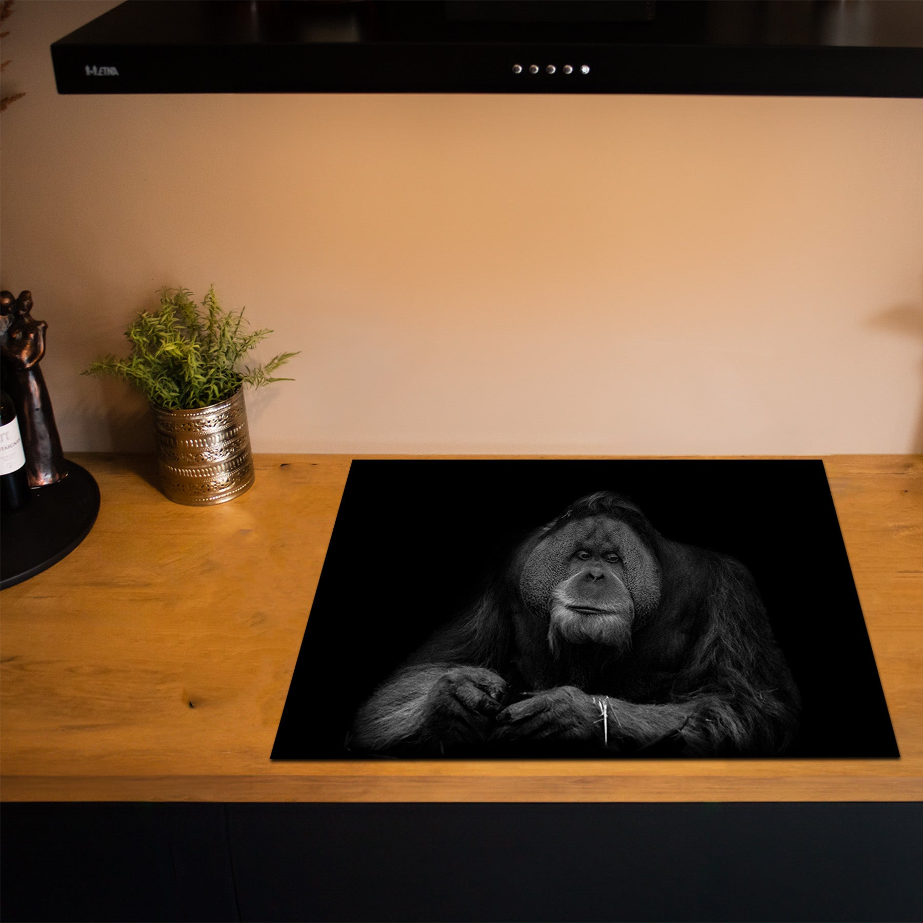 Inductiebeschermer - Dieren Zwart Wit - Oranoetang