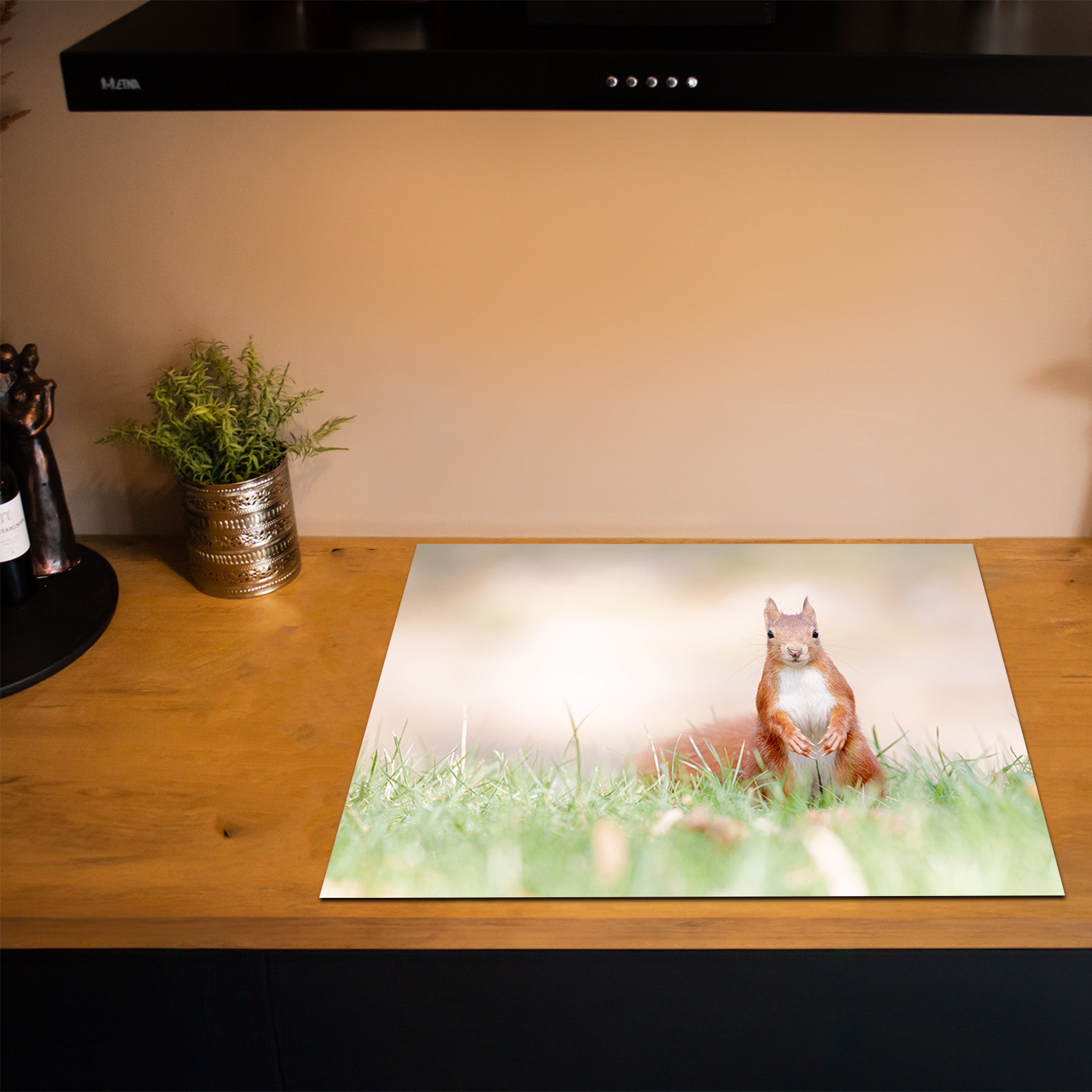 Inductiebeschermer - Herfst - Nieuwsgierige Eekhoorn