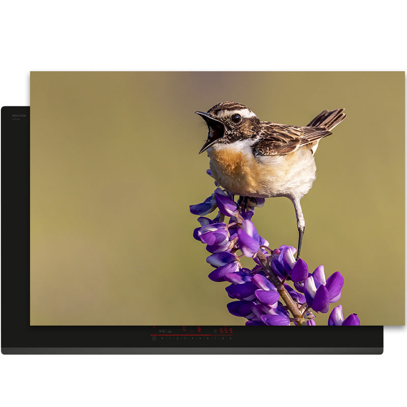 Inductiebeschermer - Herfst - Herfstzang