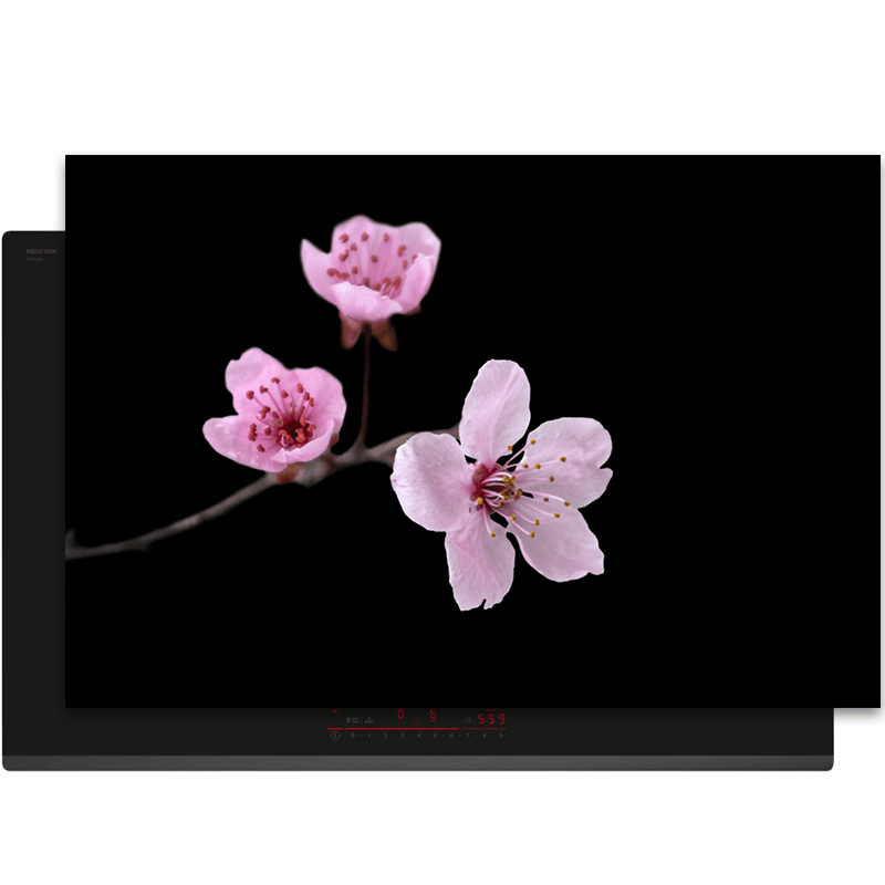 Inductiebeschermer - Bloemen - Sakura - Roze - Zwart - Inductie Maatje