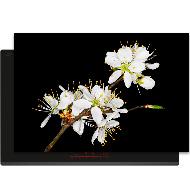 Inductiebeschermer - Bloemen - Bloesem - Pruimen - Wit - Inductie Maatje