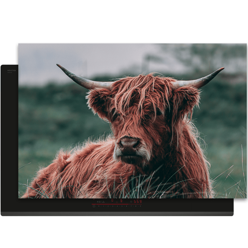 Inductiebeschermer - Schotse Hooglanders - Dieren - Close up - Bruin - Inductie Maatje