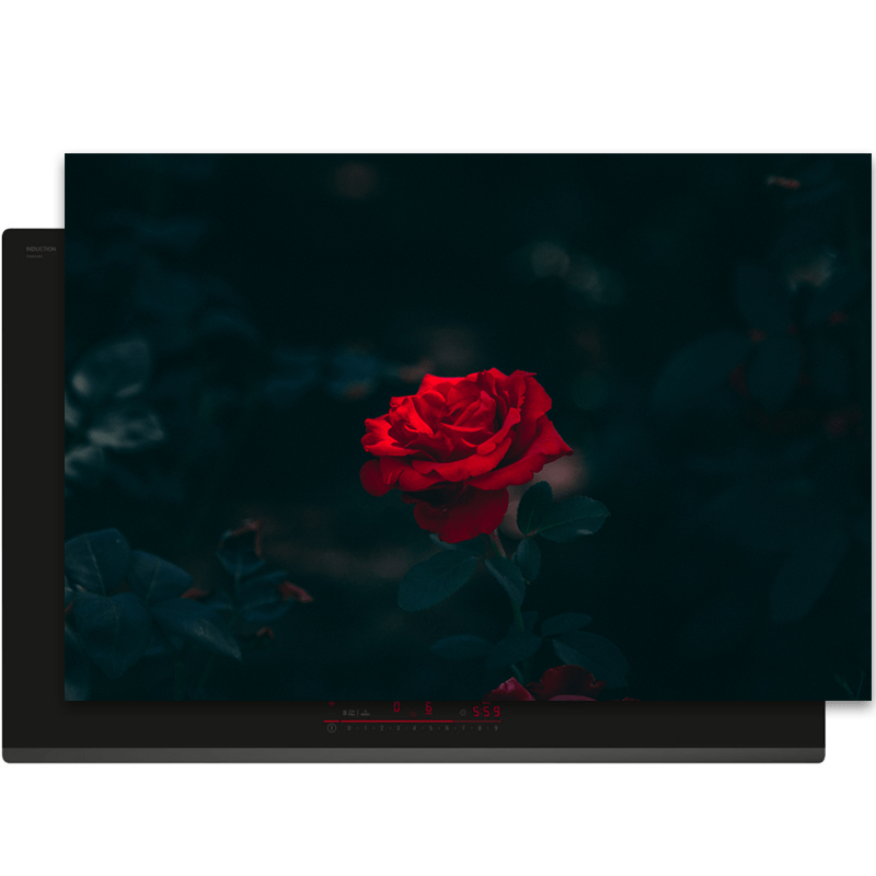 Inductiebeschermer - Bloemen - Roos - Donker - Rood - - Inductie Maatje