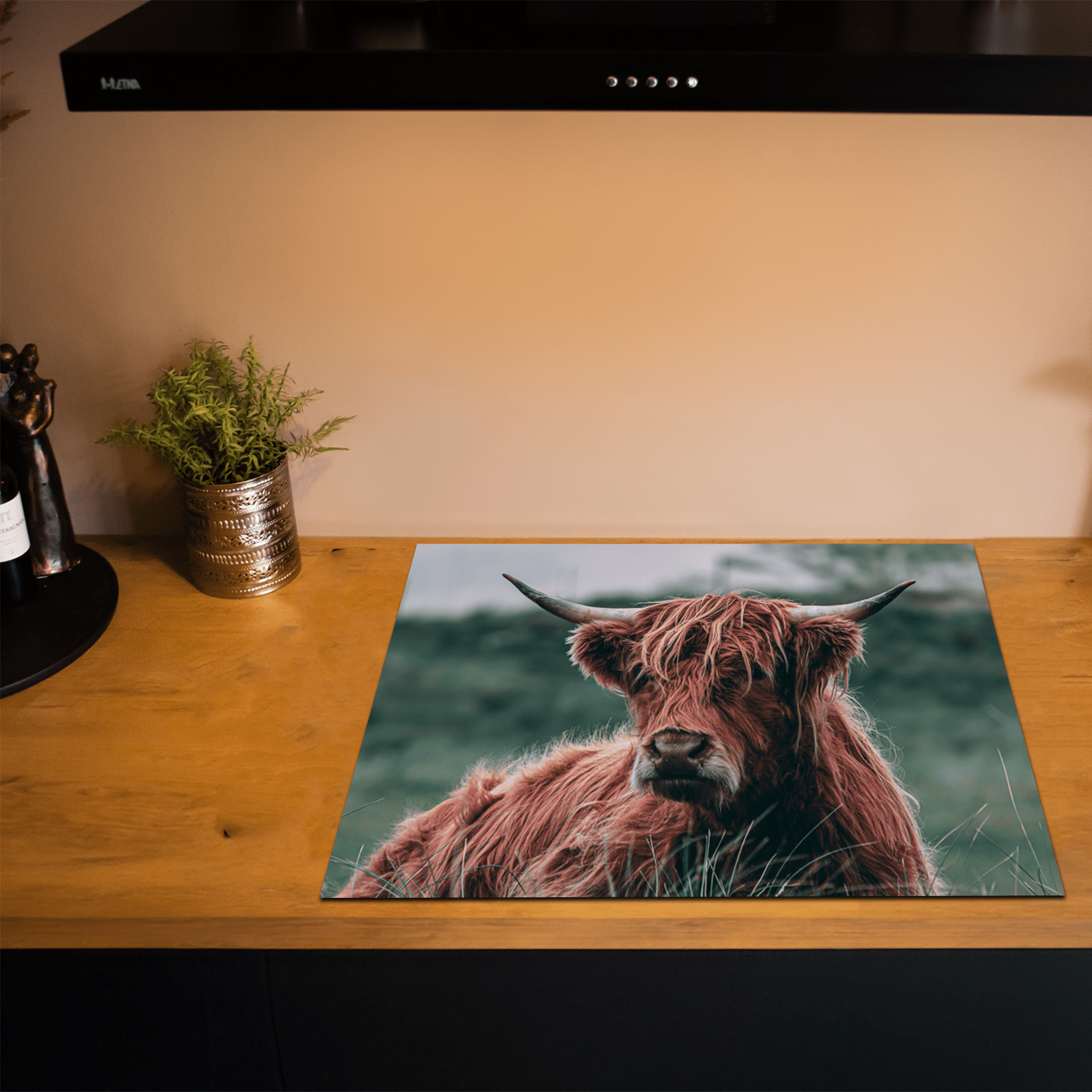 Inductiebeschermer - Schotse Hooglanders - Dieren - Close up - Bruin - Inductie Maatje