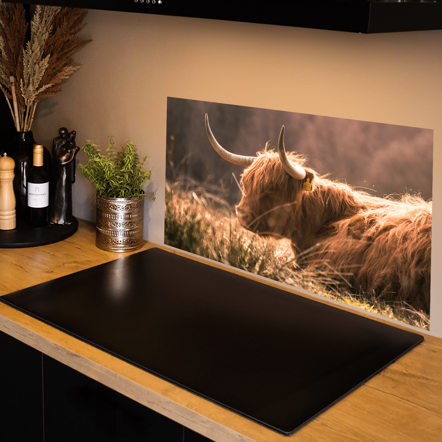 Keuken spatscherm - Schotse Hooglanders - Liggend - Horens - Bruin - keuken spatscherm