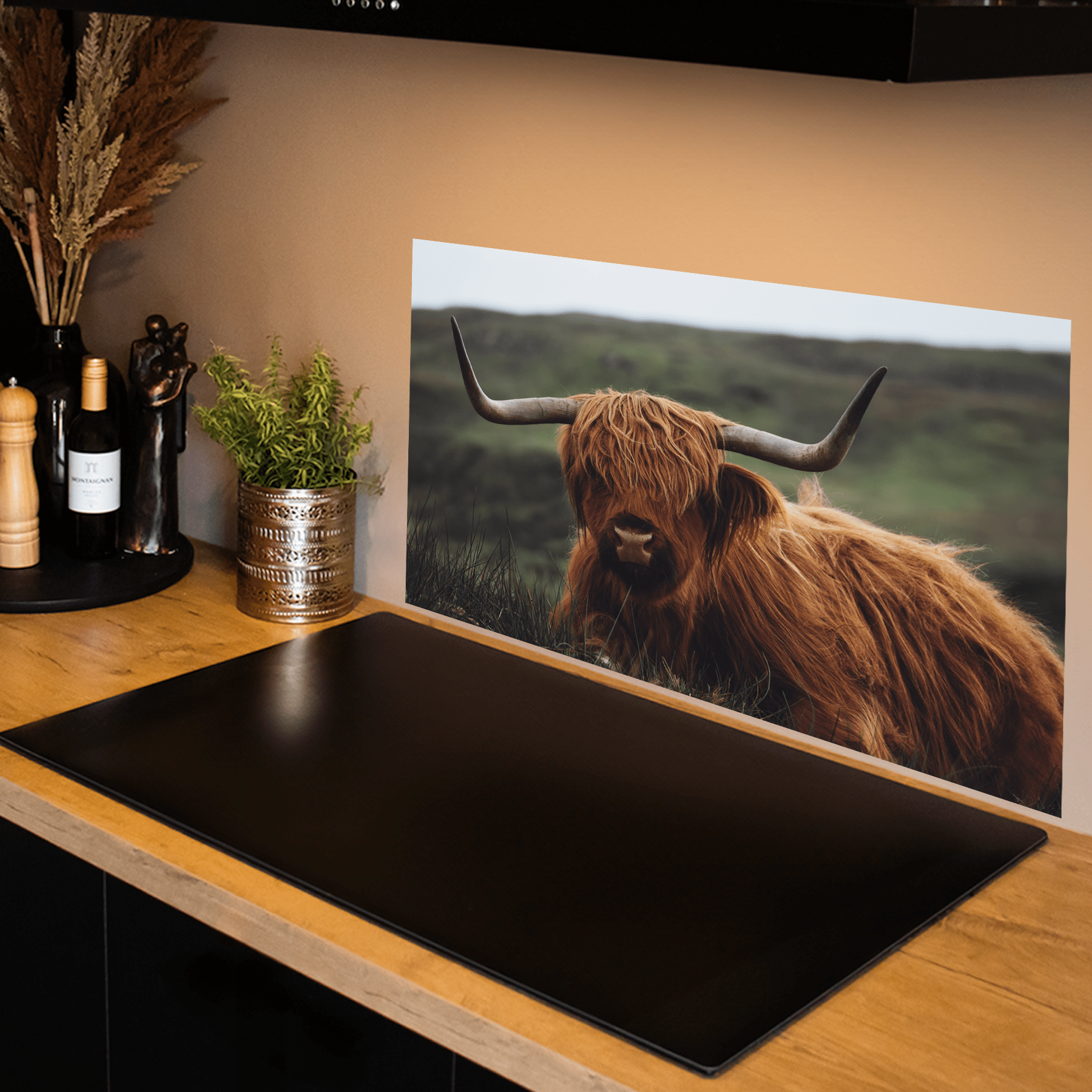 Keuken spatscherm - Schotse Hooglander - Dieren - Natuur - Zwart - Wit - keuken spatscherm