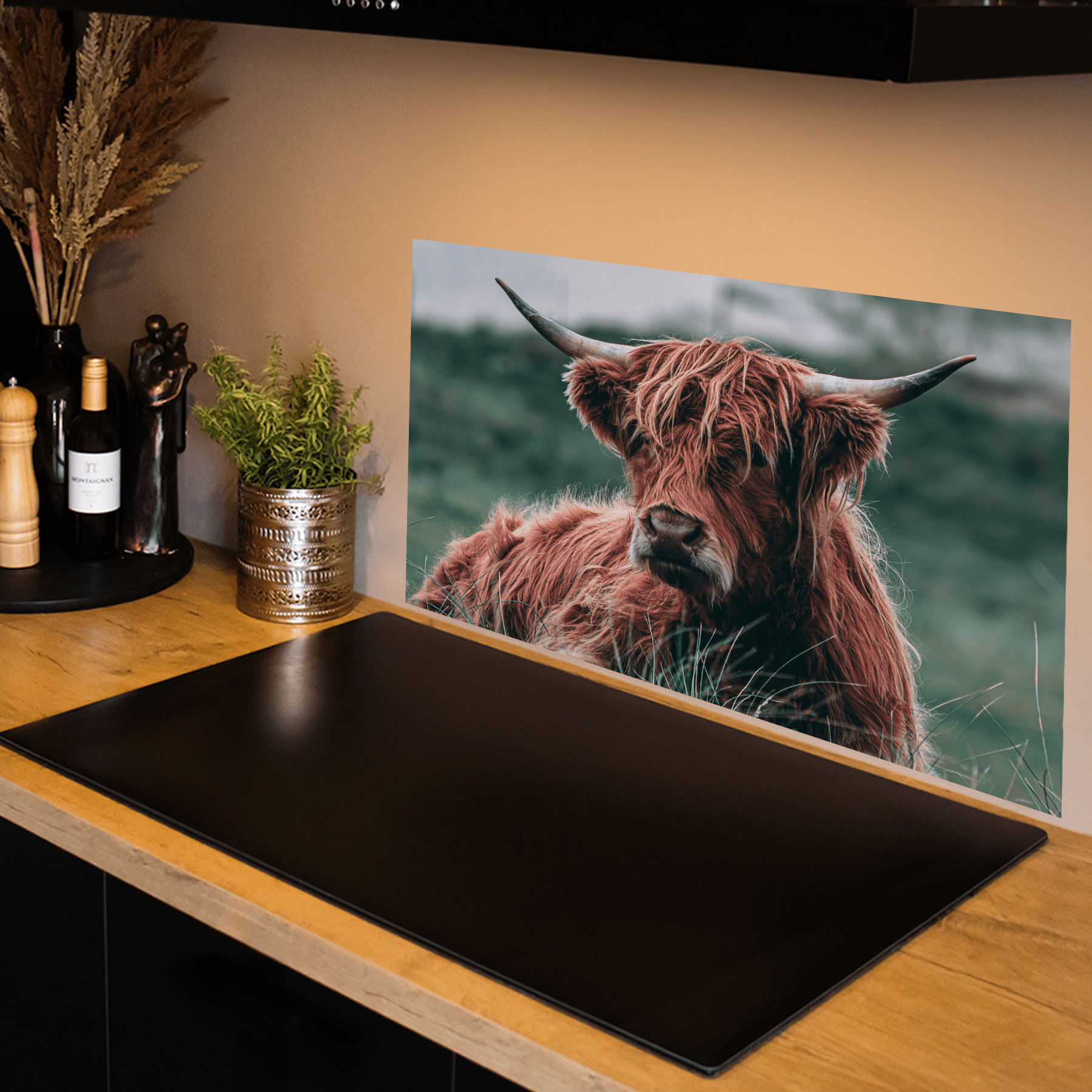 Keuken spatscherm - Schotse Hooglanders - Dieren - Close up - Bruin - keuken spatscherm