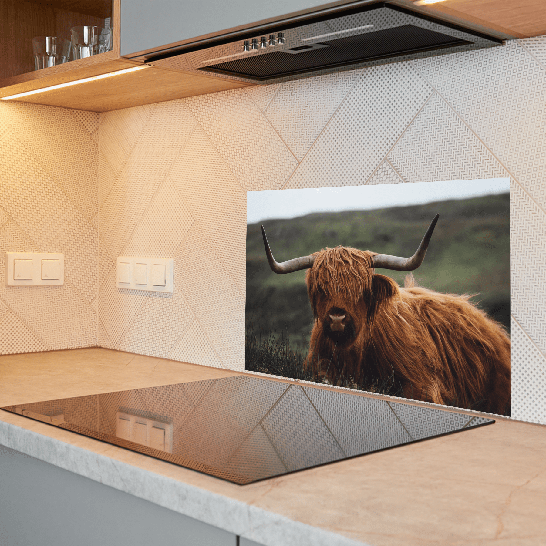 Keuken spatscherm - Schotse Hooglander - Dieren - Natuur - Zwart - Wit - keuken spatscherm