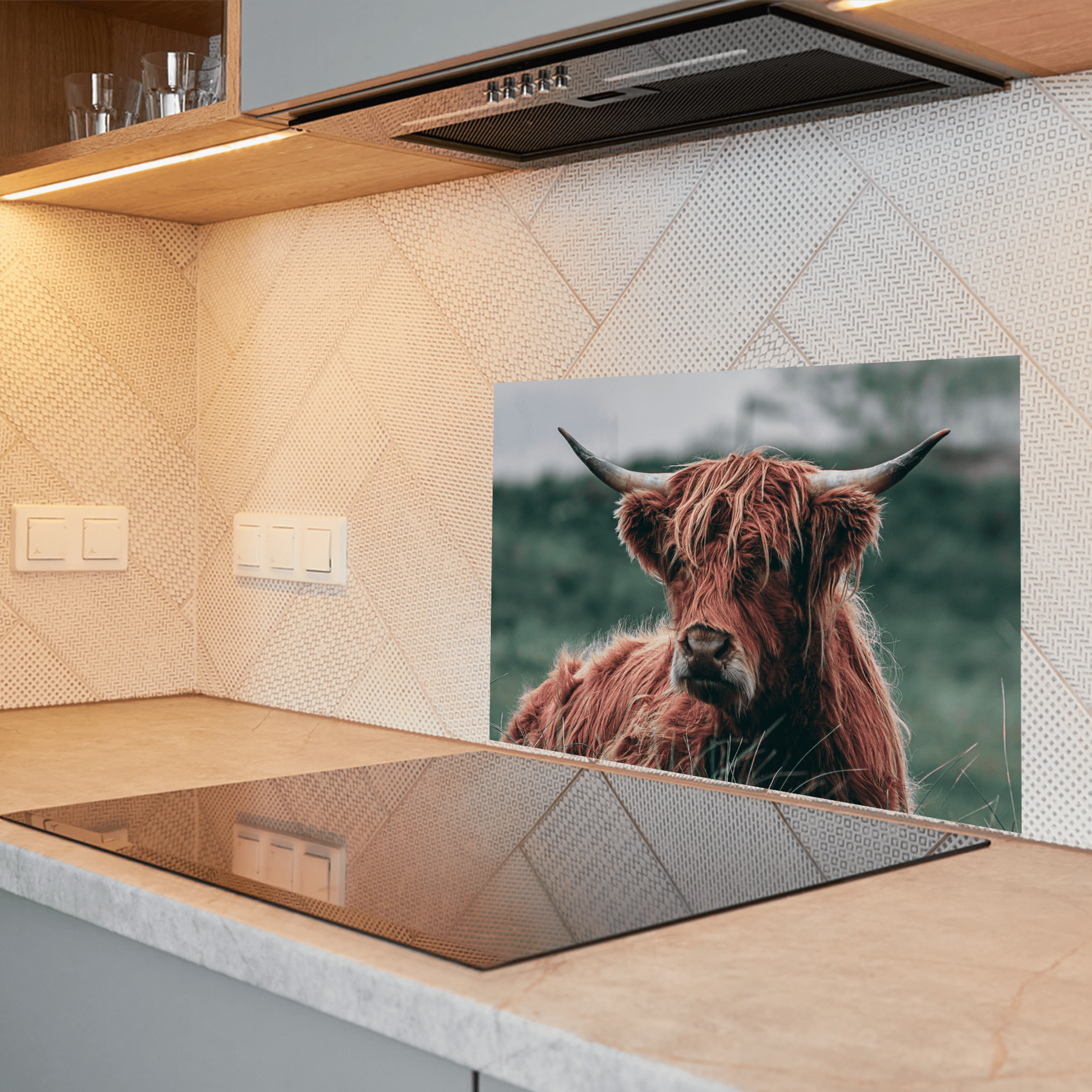 Keuken spatscherm - Schotse Hooglanders - Dieren - Close up - Bruin - keuken spatscherm