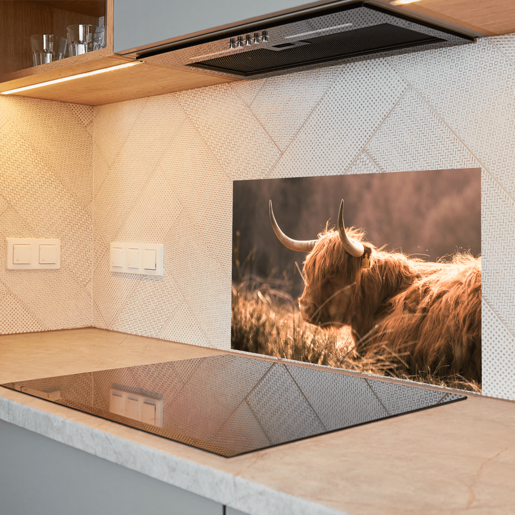 Keuken spatscherm - Schotse Hooglanders - Liggend - Horens - Bruin - keuken spatscherm