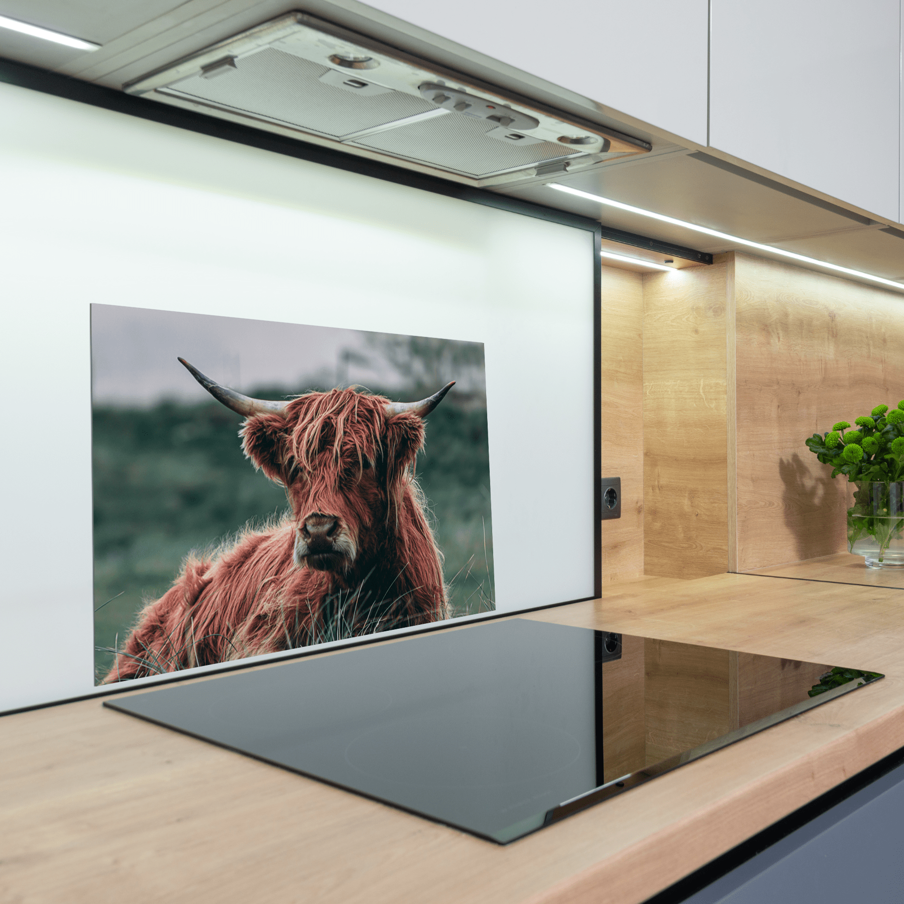 Keuken spatscherm - Schotse Hooglanders - Dieren - Close up - Bruin - keuken spatscherm