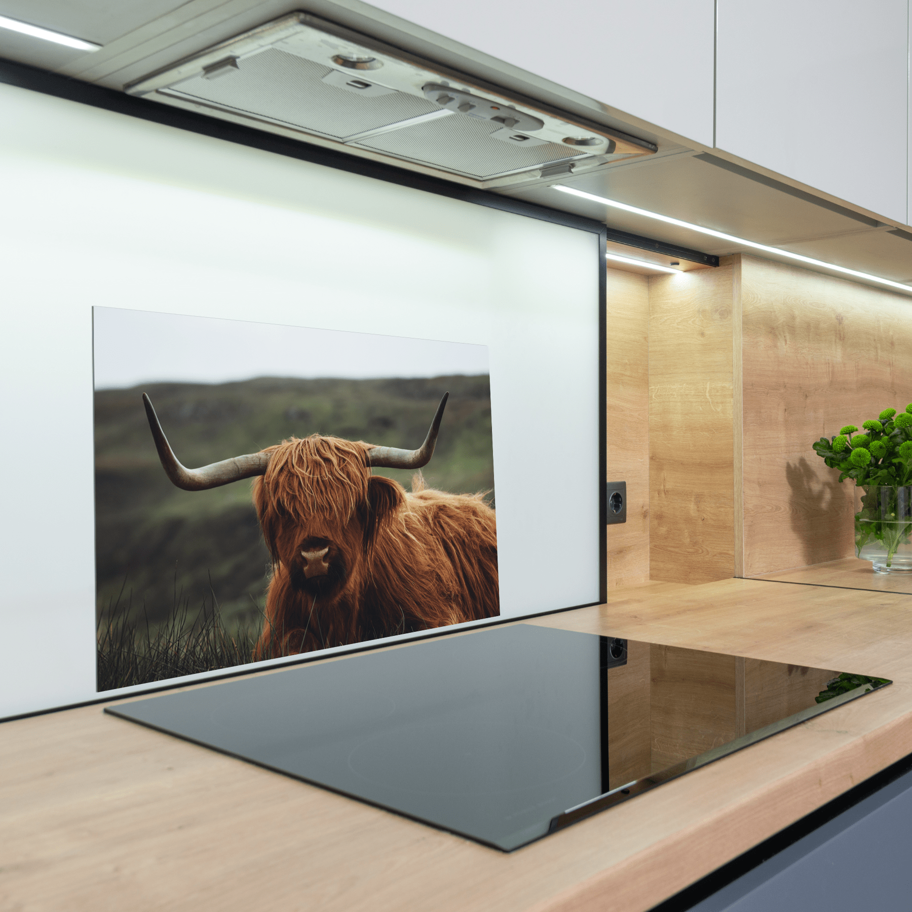 Keuken spatscherm - Schotse Hooglander - Dieren - Natuur - Zwart - Wit - keuken spatscherm