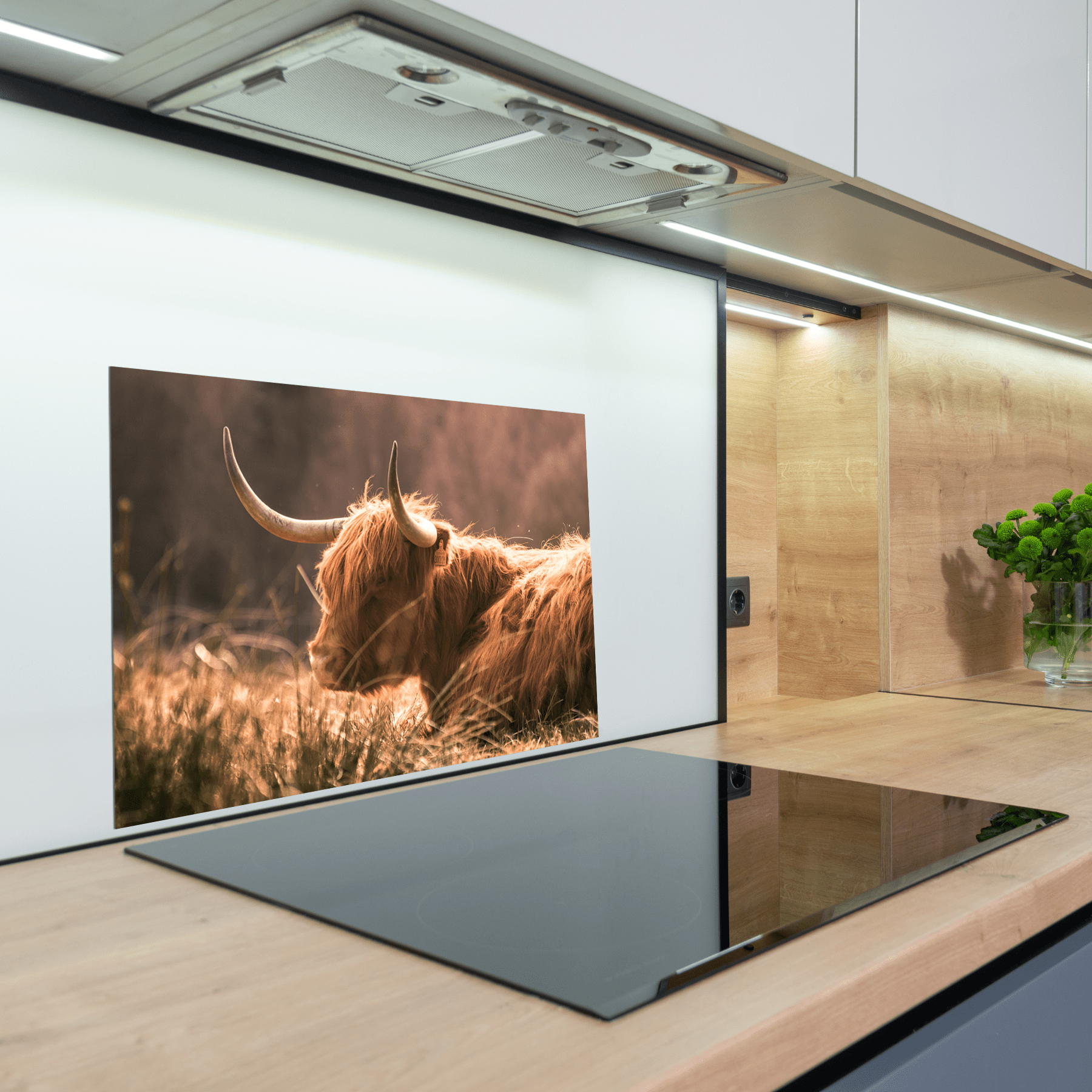 Keuken spatscherm - Schotse Hooglanders - Liggend - Horens - Bruin - keuken spatscherm