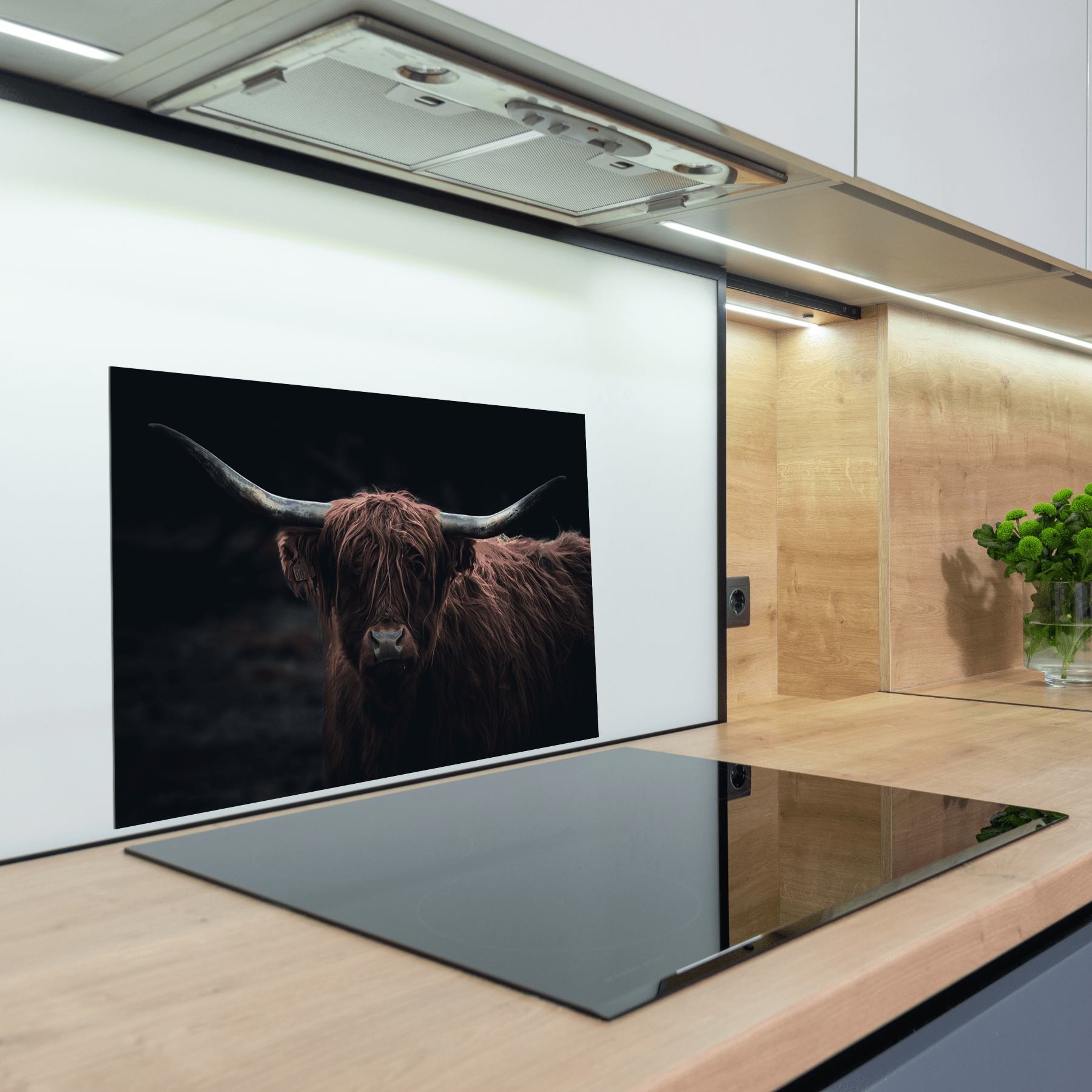 Keuken spatscherm - Schotse Hooglander - Dieren - Natuur - WIld - Bruin - Zwart - keuken spatscherm