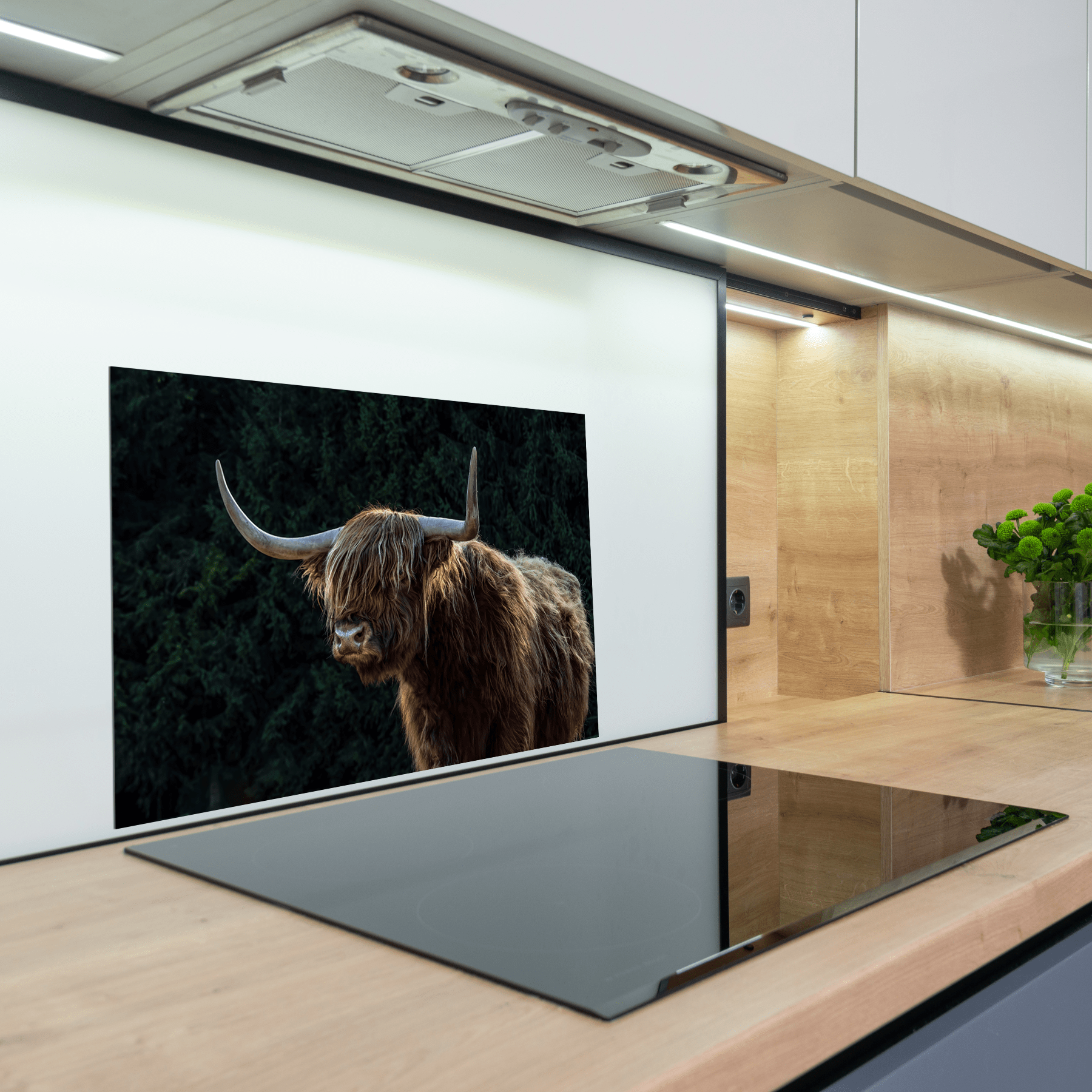 Keuken spatscherm - Schotse Hooglander - Dieren - Bruin - Zwart - keuken spatscherm