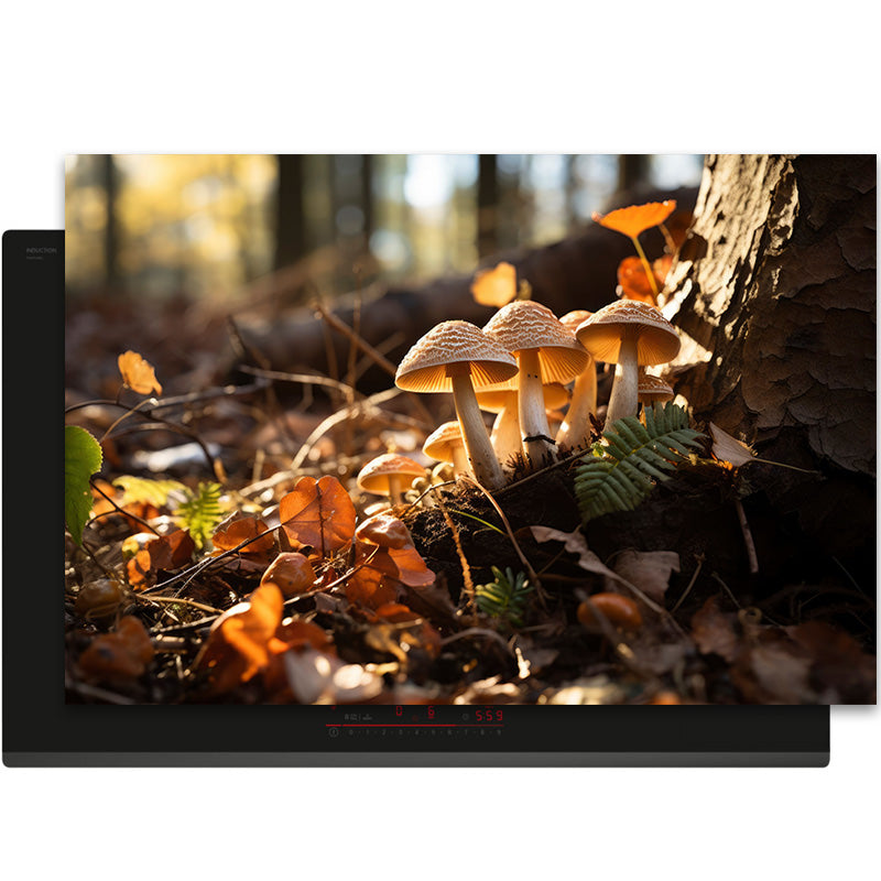 Inductiebeschermer - Herfst - Boslicht