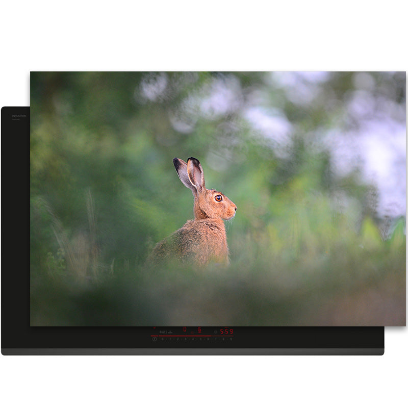 Inductiebeschermer - Herfst - Ochtendstilte