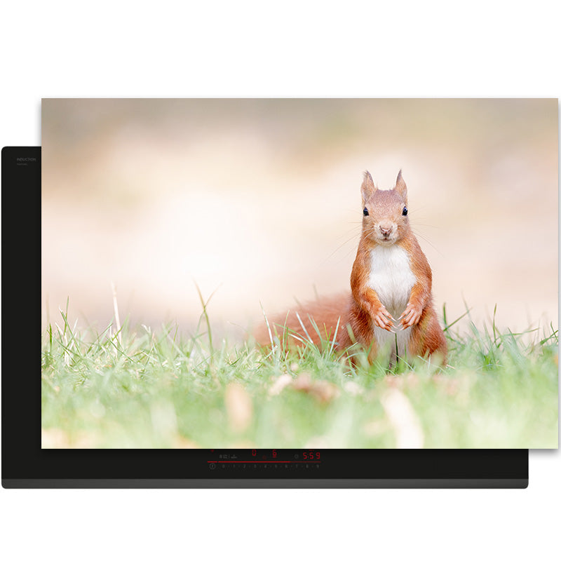 Inductiebeschermer - Herfst - Nieuwsgierige Eekhoorn