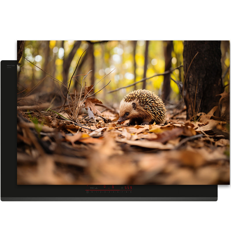 Inductiebeschermer - Herfst - Bosbewoner