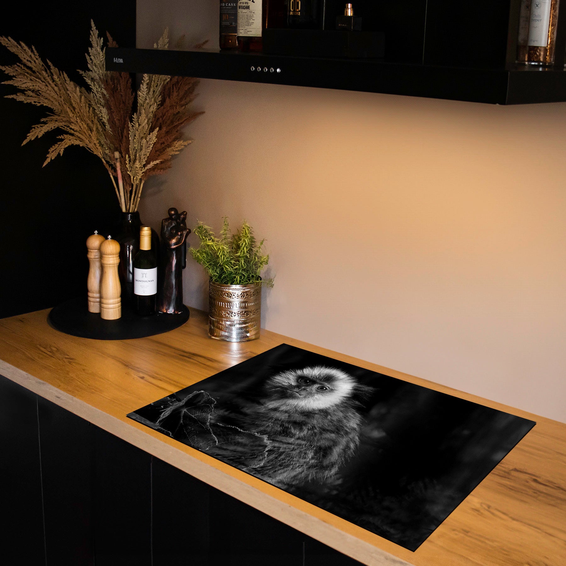 Inductiebeschermer - Dieren Zwart Wit - Zijdeaapje