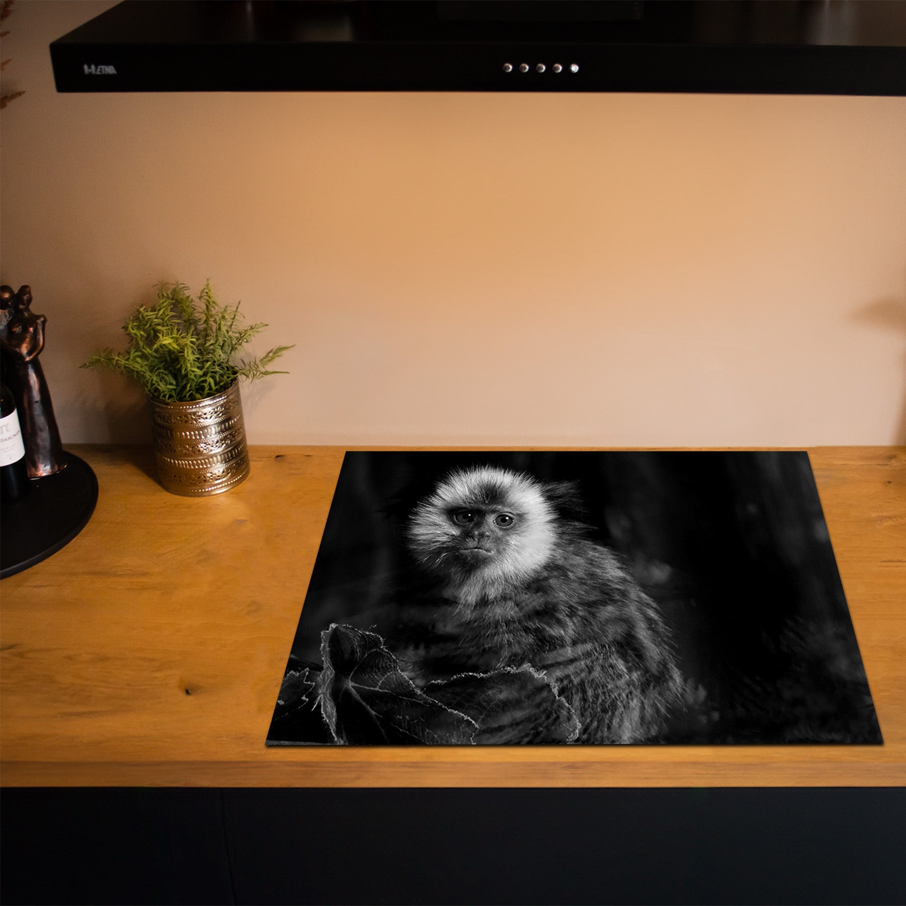 Inductiebeschermer - Dieren Zwart Wit - Zijdeaapje