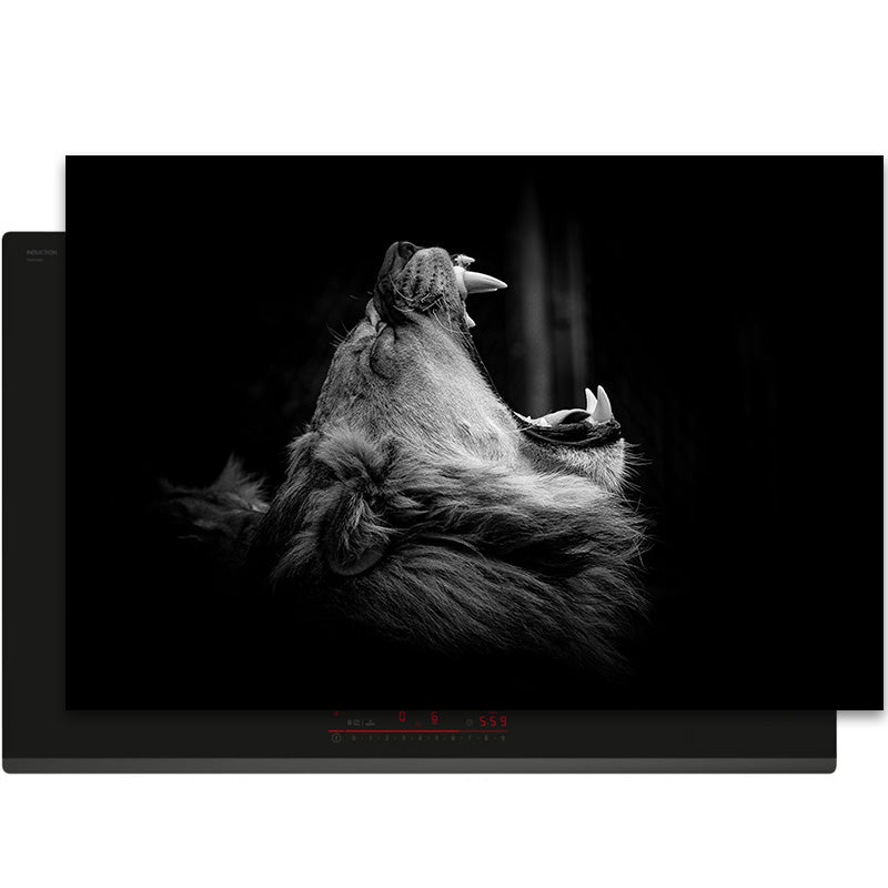 Inductiebeschermer - Dieren Zwart Wit - Leeuwen Brul