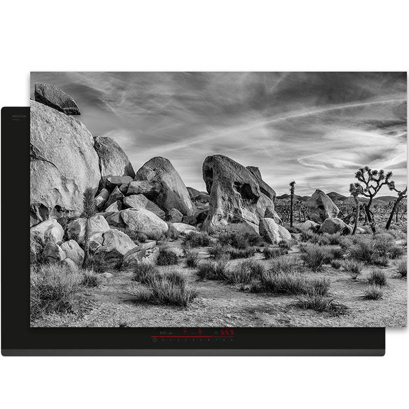 Inductiebeschermer - Panorama Natuur - Ruwe Wildernis