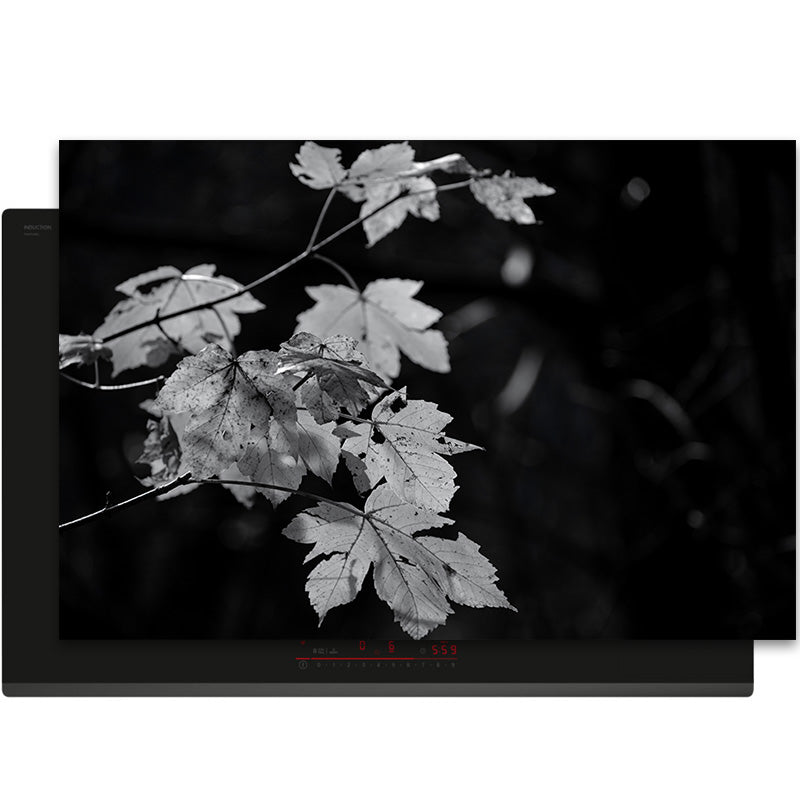 Inductiebeschermer - Herfst - Zilveren Stilte