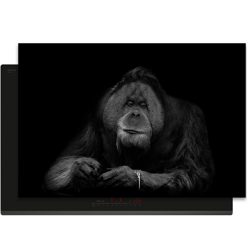 Inductiebeschermer - Dieren Zwart Wit - Oranoetang