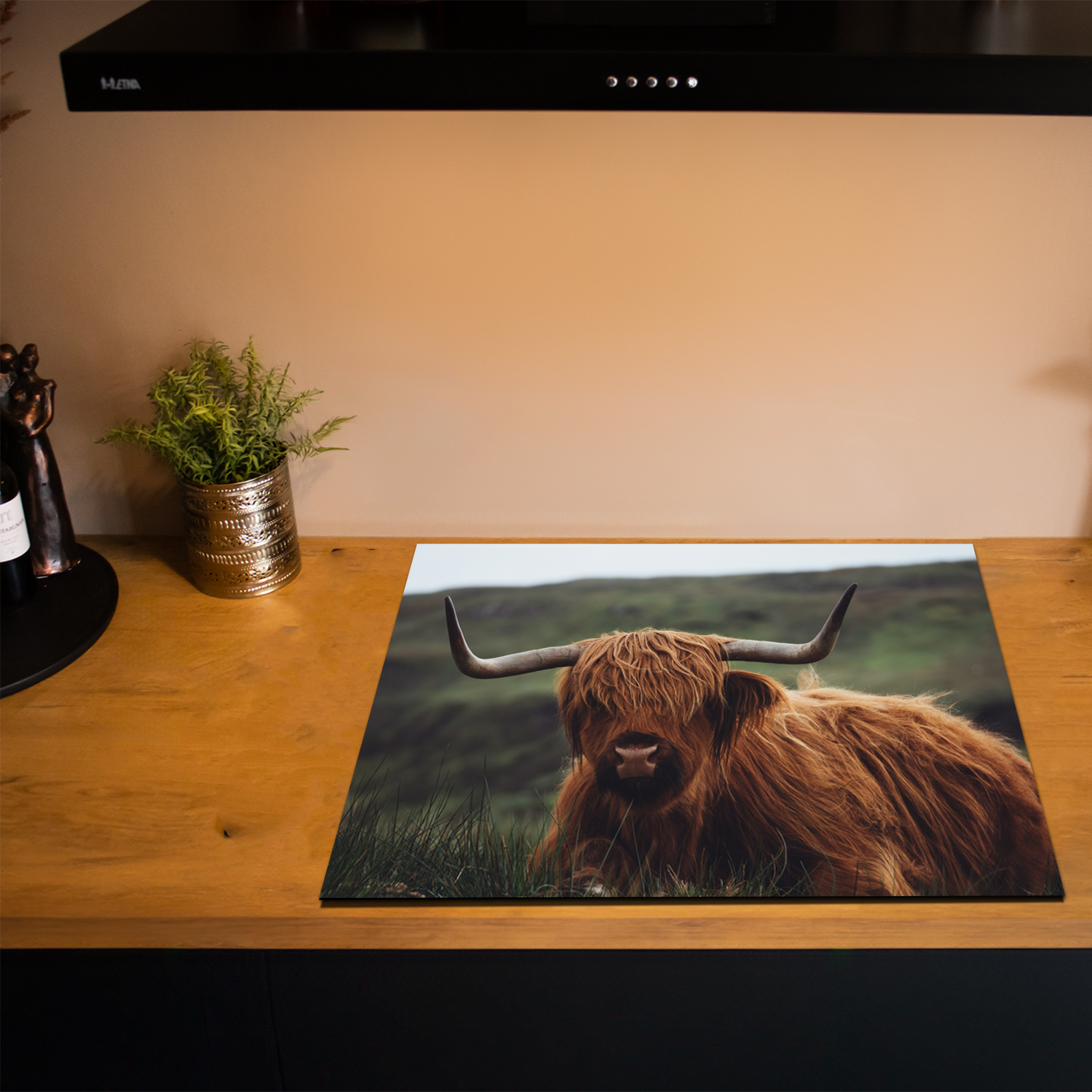 Inductiebeschermer - Schotse Hooglander - Dieren - Natuur - Zwart - Wit - Inductie Maatje